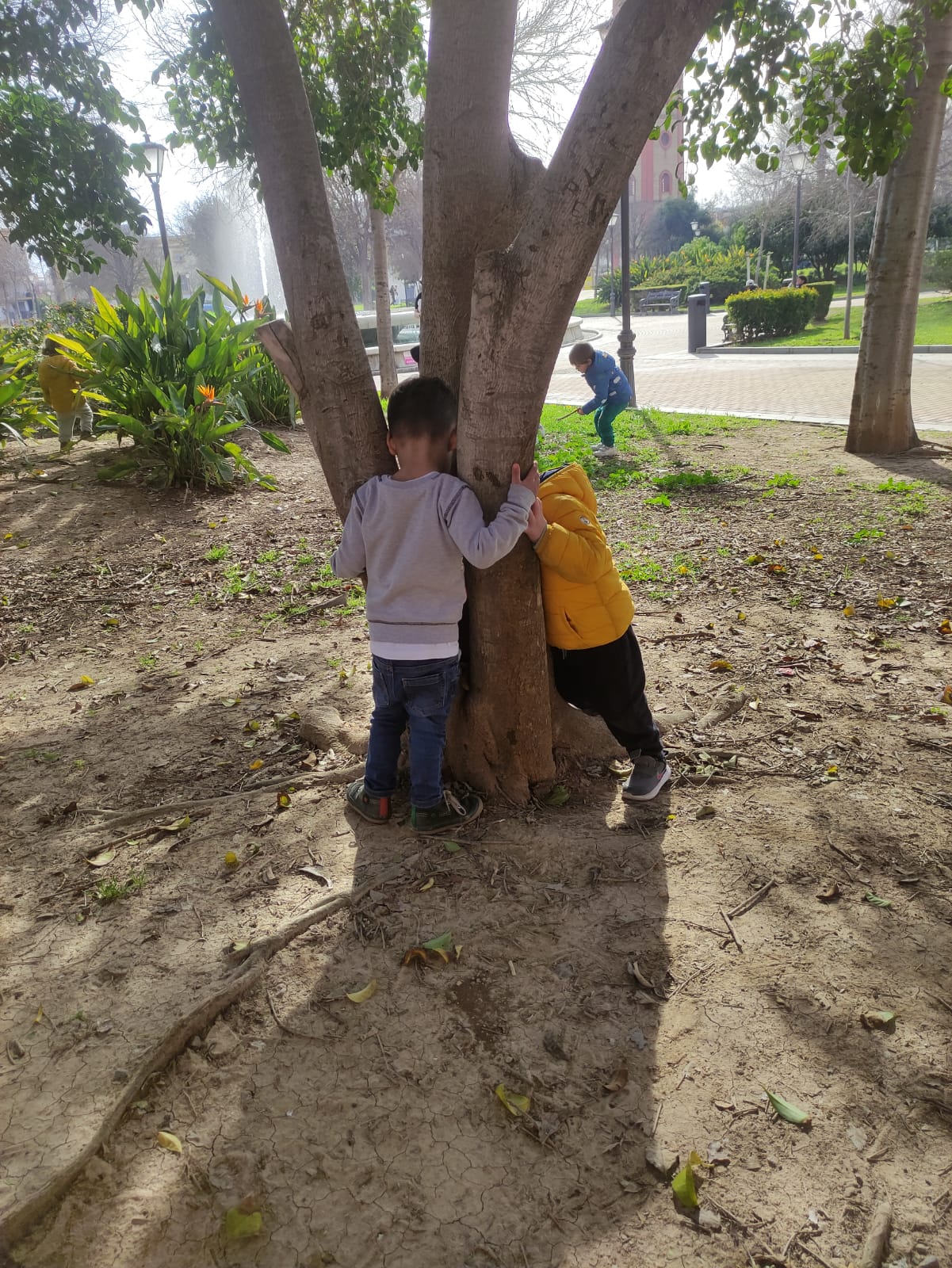 Sevilla Reggio Emilia School