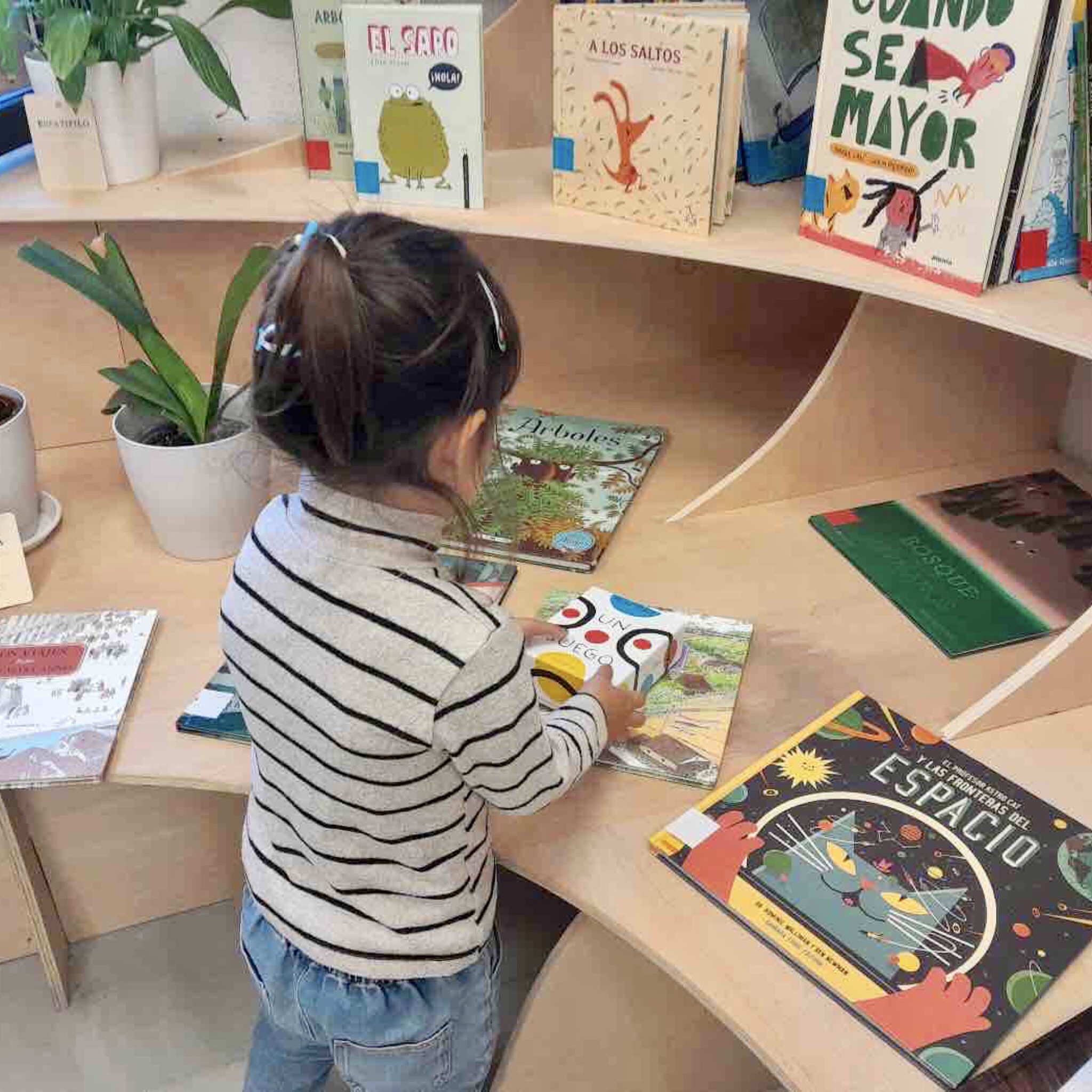 Escuela Infantil, Primaria y Secundaria alternativa en Sevilla