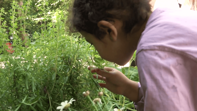 Diferencias entre las pedagogías Waldorf, Montessori y Reggio Emilia